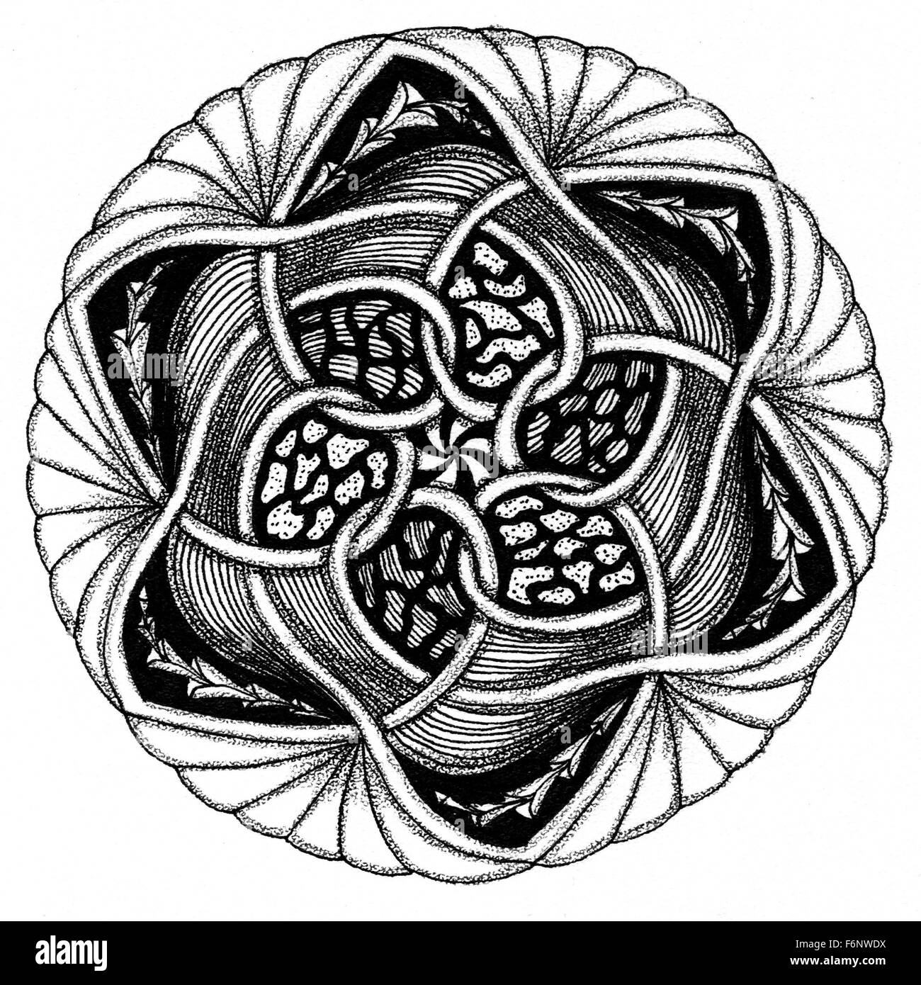 Zendala - mandala of zentangle Stock Photo - Alamy