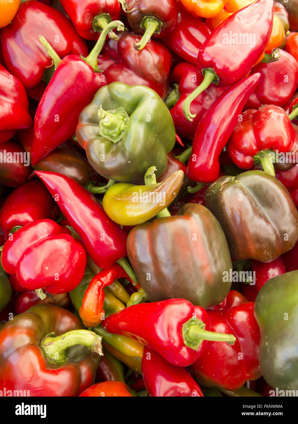 A variety of colorful peppers for sale at the Grand Army Plaza Farmers ...