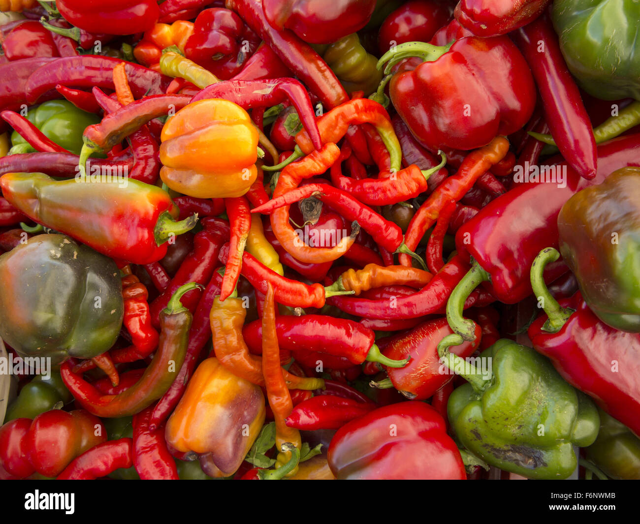 A variety of colorful peppers for sale at the Grand Army Plaza Farmers