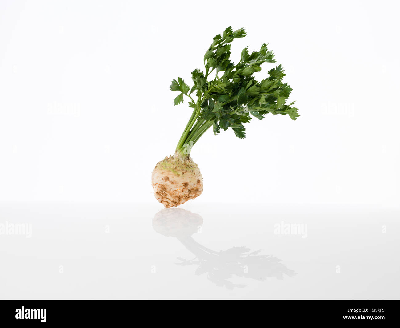 raw celery root with leaves on white background Stock Photo Alamy