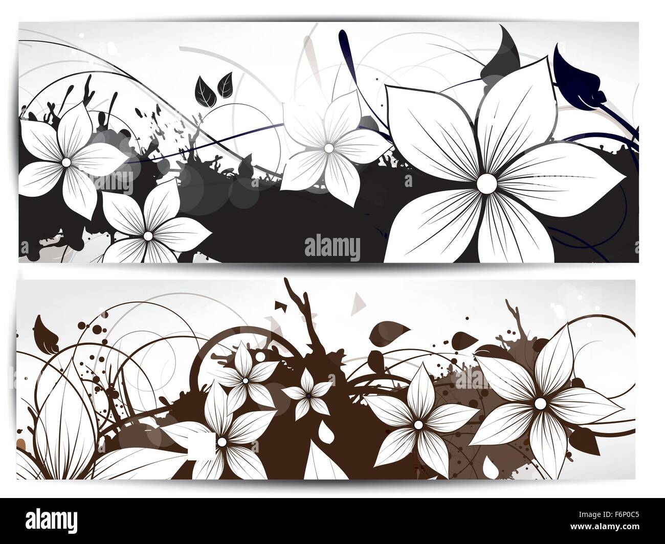 vector floral design element Stock Vector Image & Art - Alamy