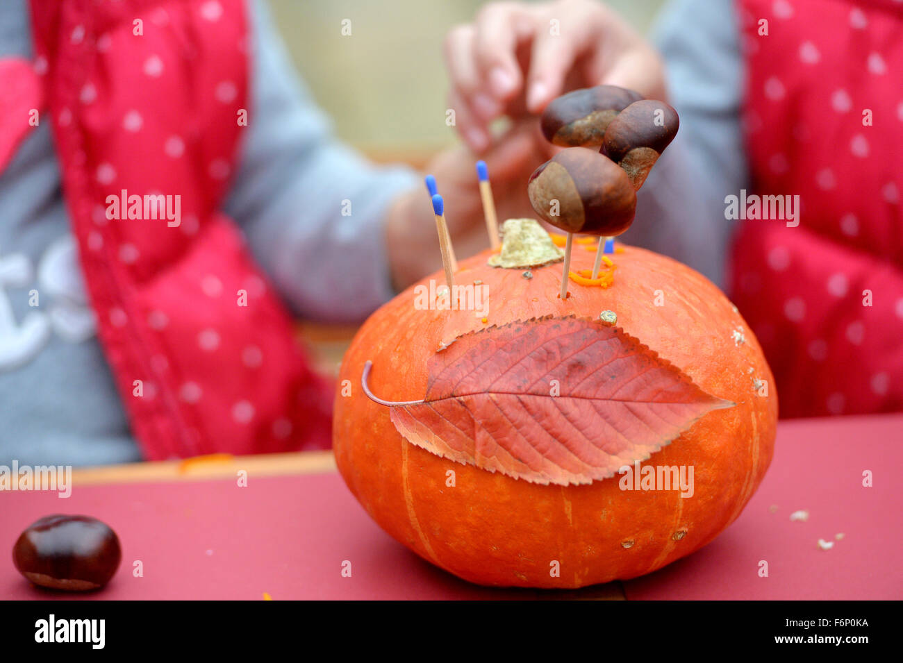 Girls decorate a pumpkin with leaves, matches and chestnuts. Stock Photo