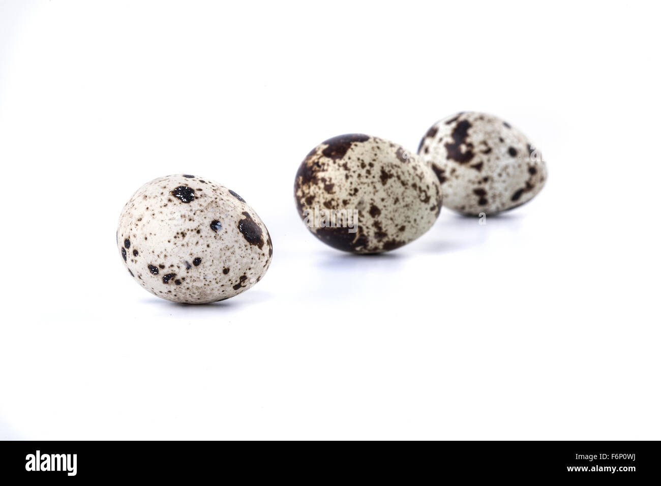 Cholesterol quail hires stock photography and images Alamy