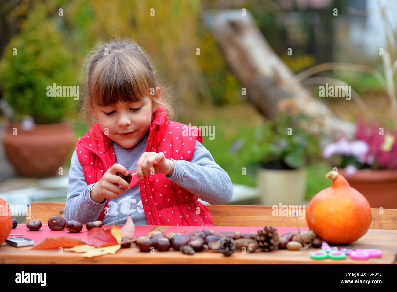 Girl creating crafts with chestnuts and pumpkin. Stock Photo