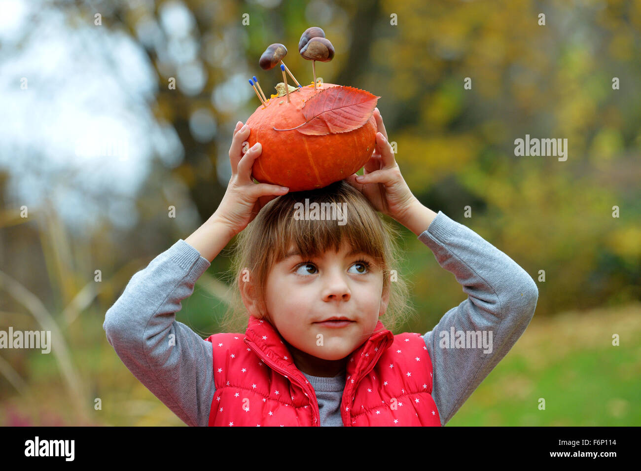 Proudly a girl shows her with chestnuts and matches decorated pumpkin. Stock Photo