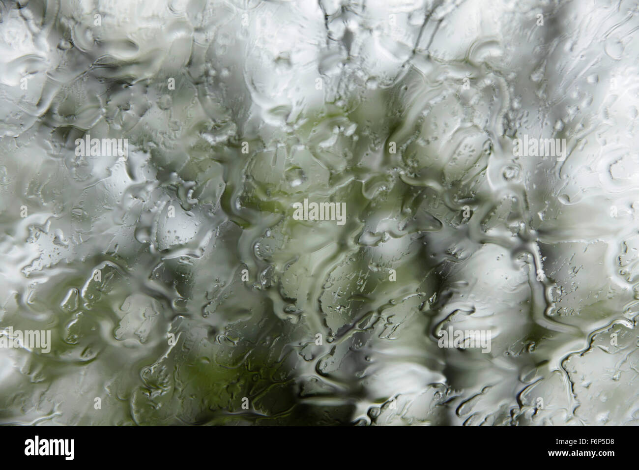 Texture of raindrops on a window. Stock Photo