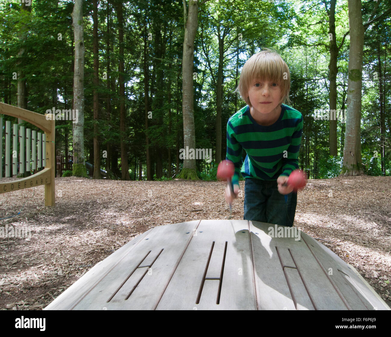 Boy playing wooden glockenspiel Stock Photo