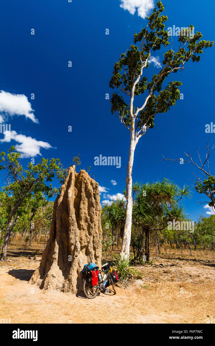Termite mounds in Northern Australia can reach several meters just like this one. - Stock Image