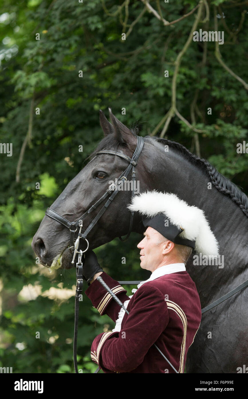 Horse Rare Kladruber tradition animal festival out Stock Photo