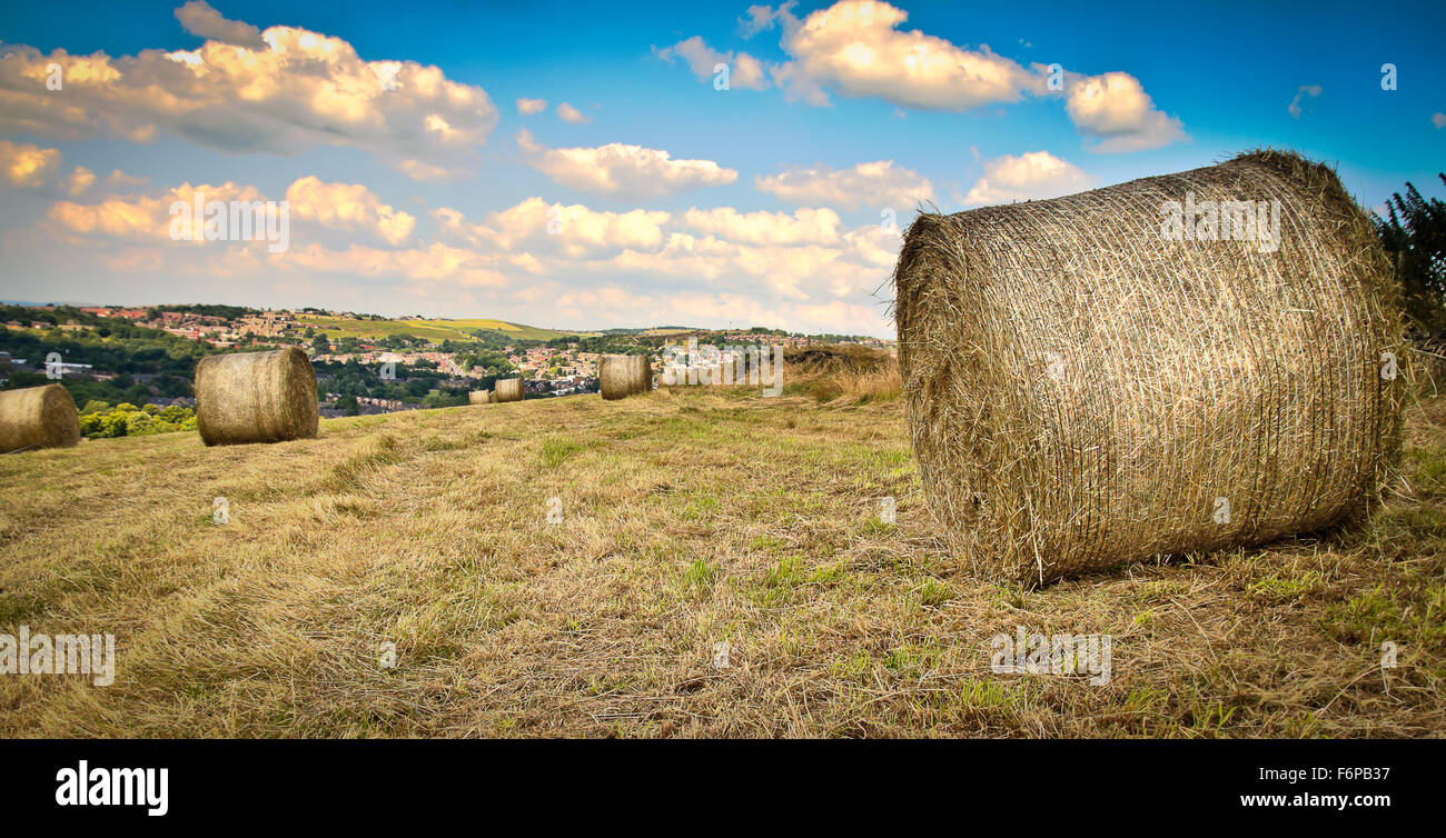 Hay Making on Lane Head Farm Stock Photo Alamy