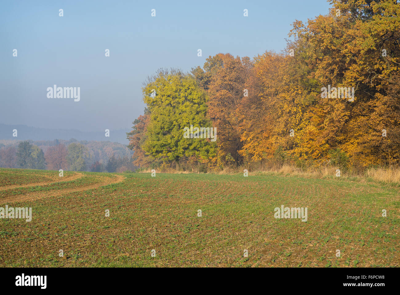 Colorful hazy sunny autumn landscape Lower Silesia Stock Photo