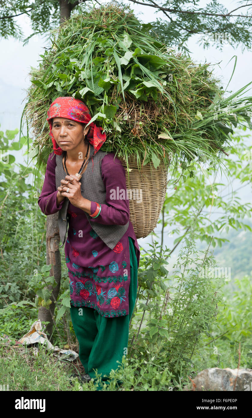 Indian woman road workers in traditional dress from the Himalayan