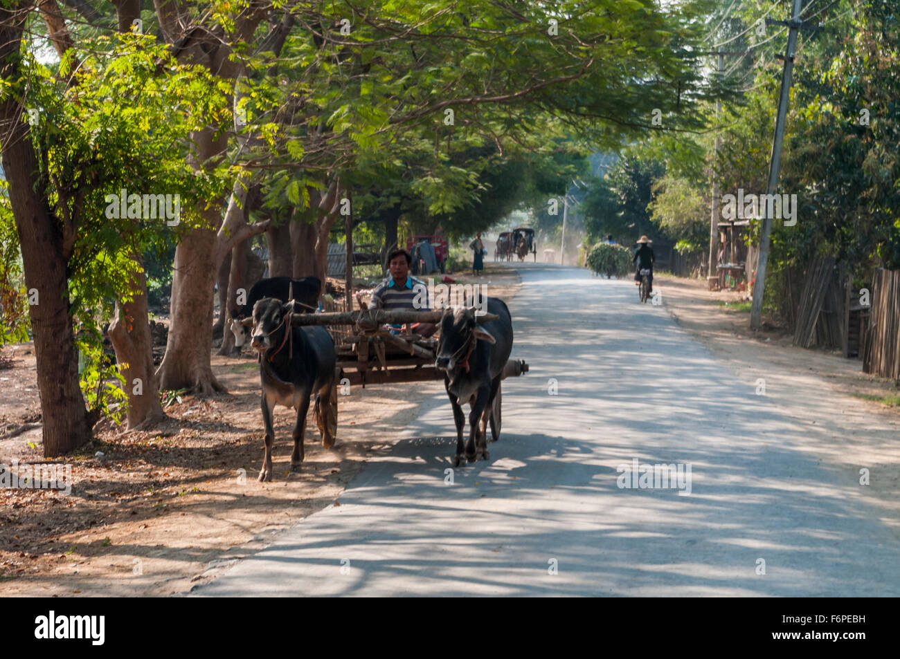 Oxcart pulled by two Zebus in Inwa (Awa) in rural Myanmar. In the background other non-motorized traffic: bikes and horse carts. Stock Photo