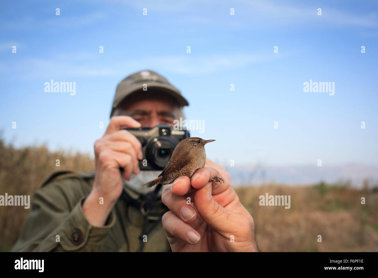 Asian researcher bird hi-res stock photography and images - Alamy