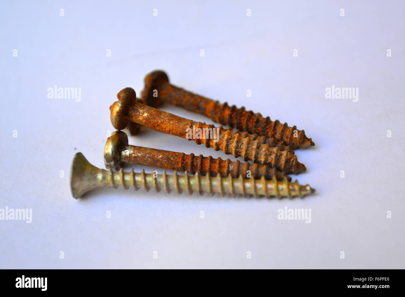 Rusty and Healthy Screws Stock Photo