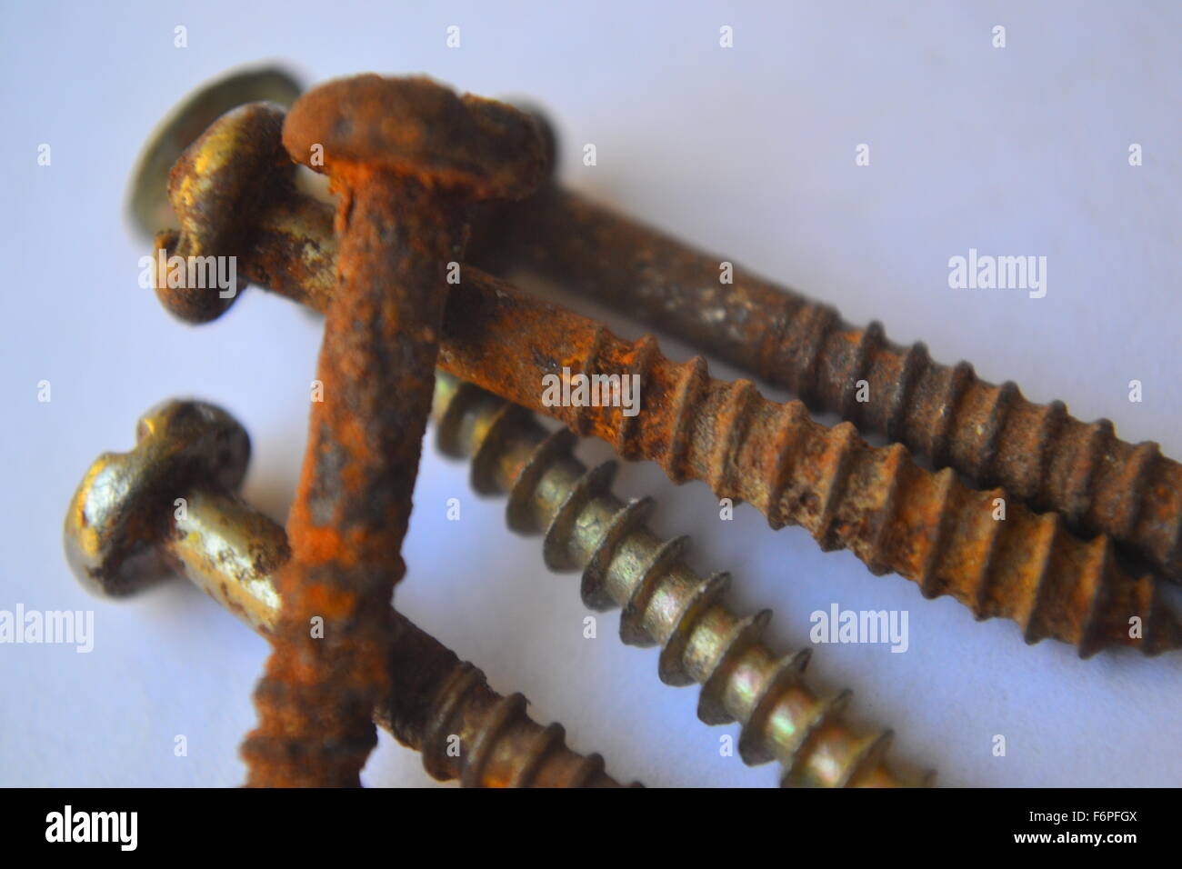 Rusty and Healthy Screws Stock Photo