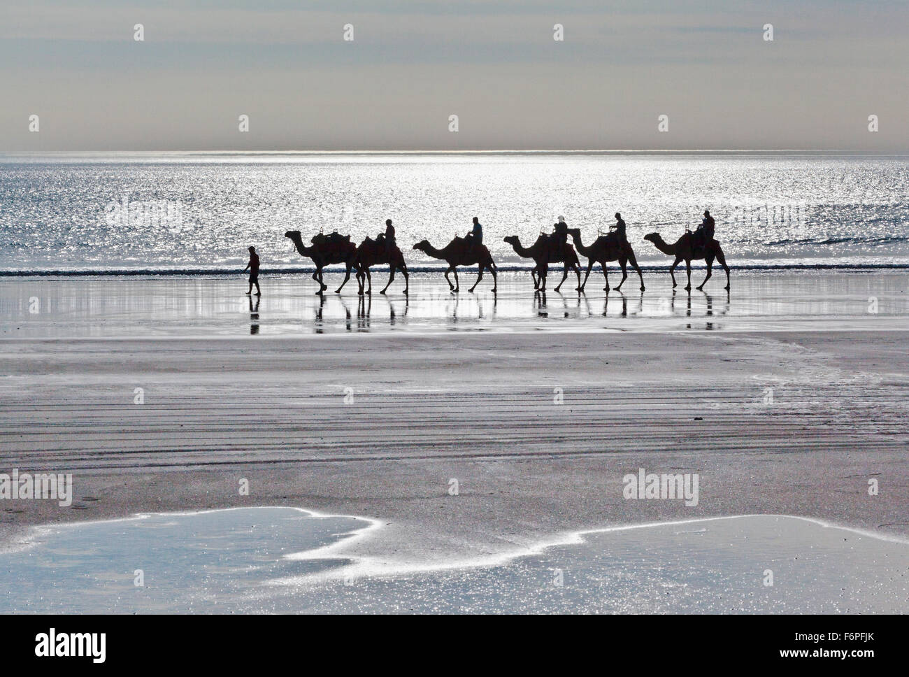Australia, Western Australia, Broome, sunset camel ride at Cable Beach