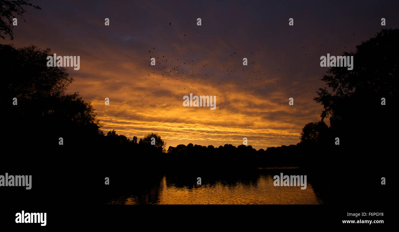 Sunset silhouette hi-res stock photography and images - Alamy