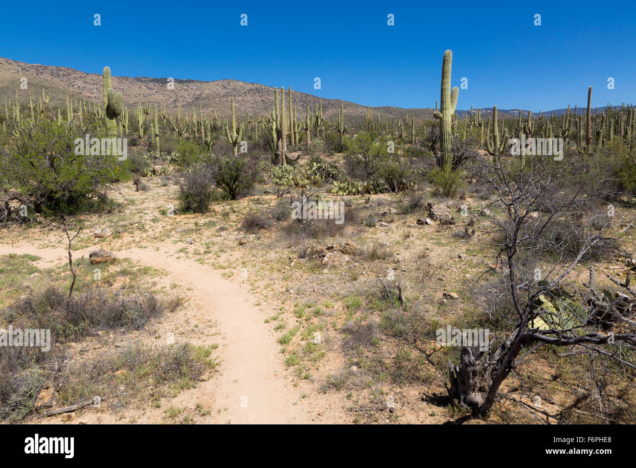 Rough rock arizona hi-res stock photography and images - Alamy