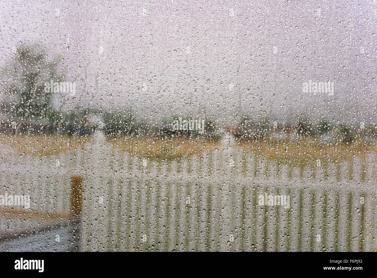 Fresh summer rain on a screen door, Salida, Colorado, USA Stock Photo
