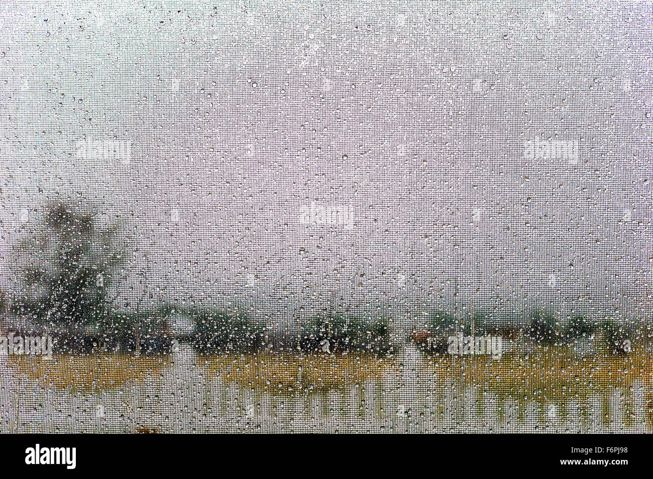 Fresh summer rain on a screen door, Salida, Colorado, USA Stock Photo