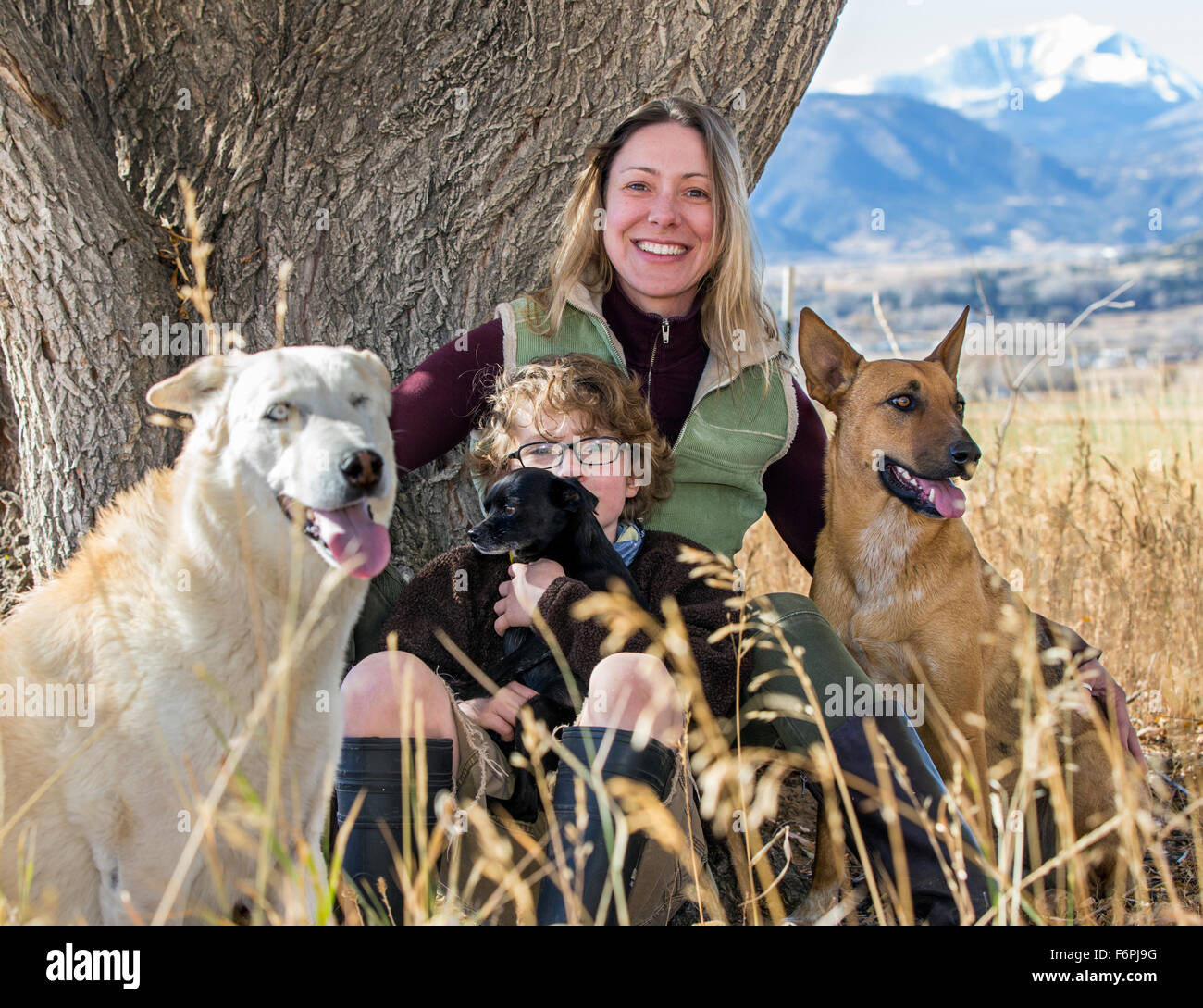 Attractive mother and young son pose with pet dogs for photographs by tree on ranch Stock Photo