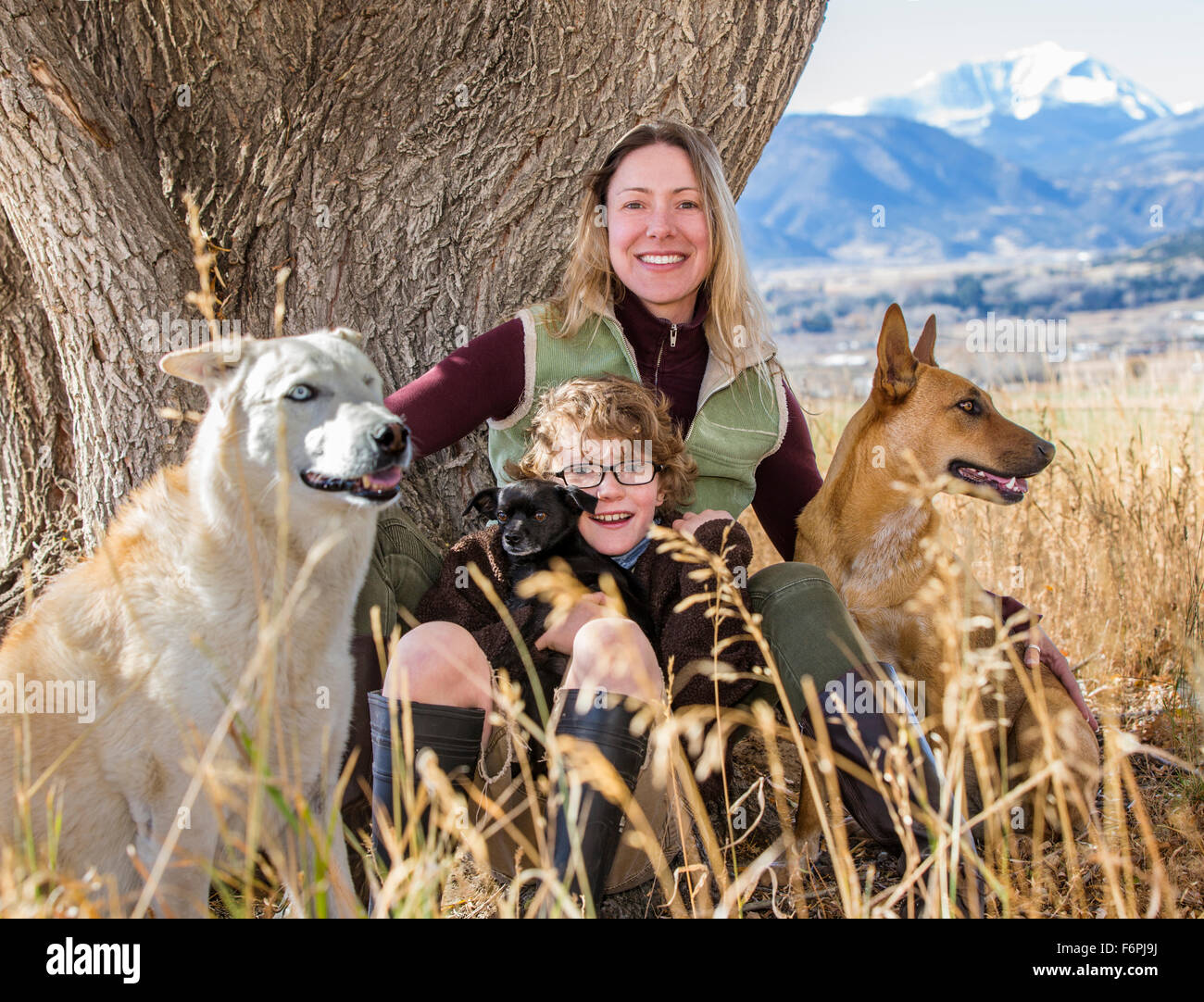 Attractive mother and young son pose with pet dogs for photographs by tree on ranch Stock Photo