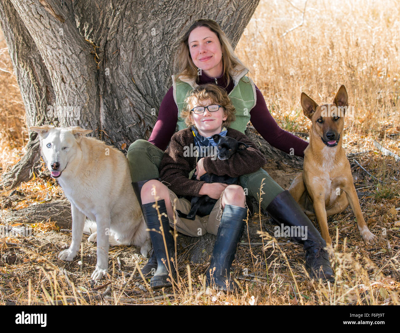 Attractive mother and young son pose with pet dogs for photographs by tree on ranch Stock Photo