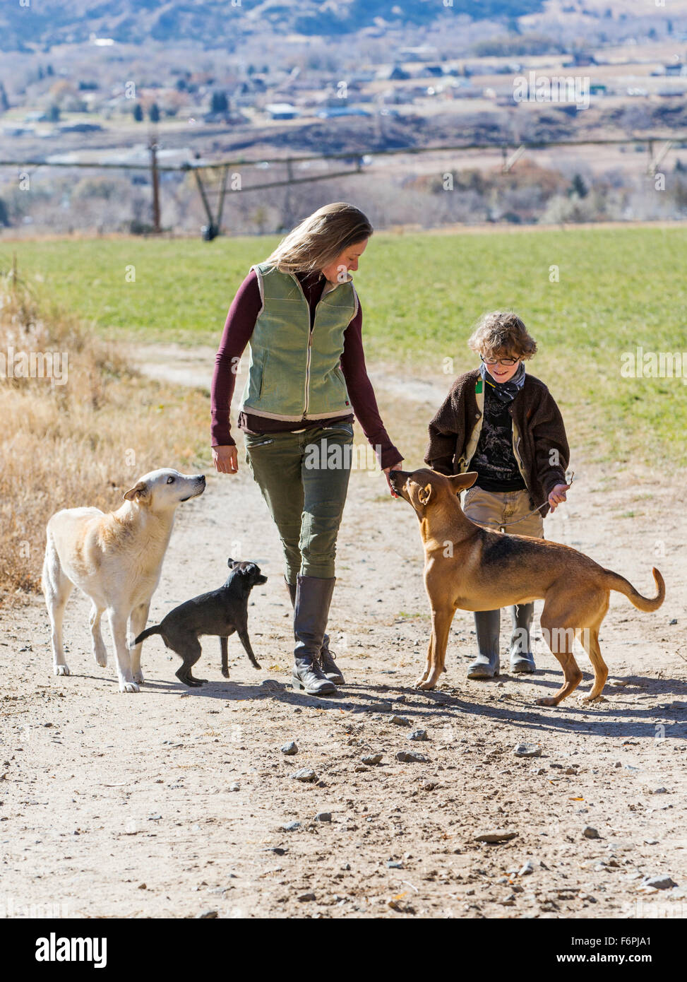 Attractive mother; young son and pet dogs walking along dirt path on ranch Stock Photo