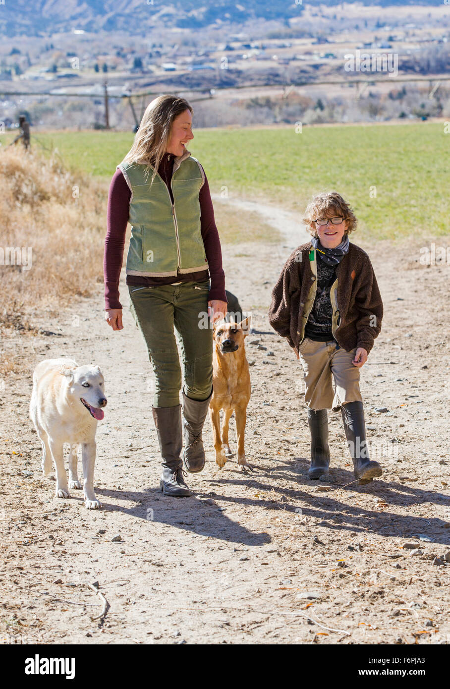 Attractive mother; young son and pet dogs walking along dirt path on ranch Stock Photo