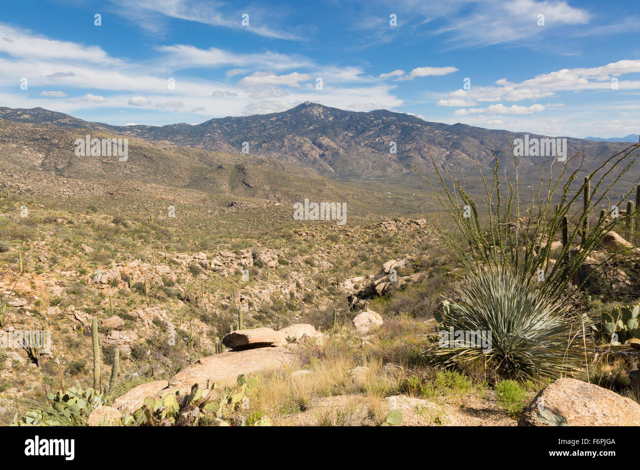 Rincon Peak rising above Mica Mountain in the foreground, Saguaro ...