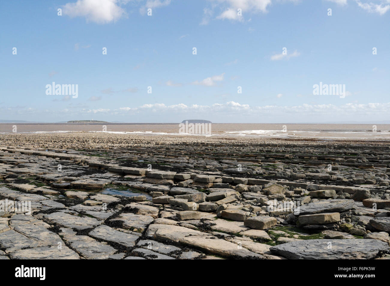 British coast, Blue lias Limestone Slabs, Lavernock beach, Wales UK