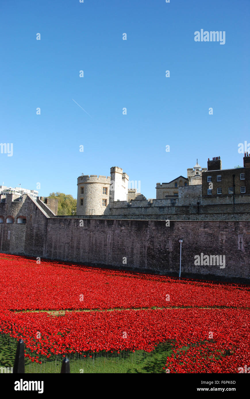 Poppies at The Tower of London 2014 Stock Photo