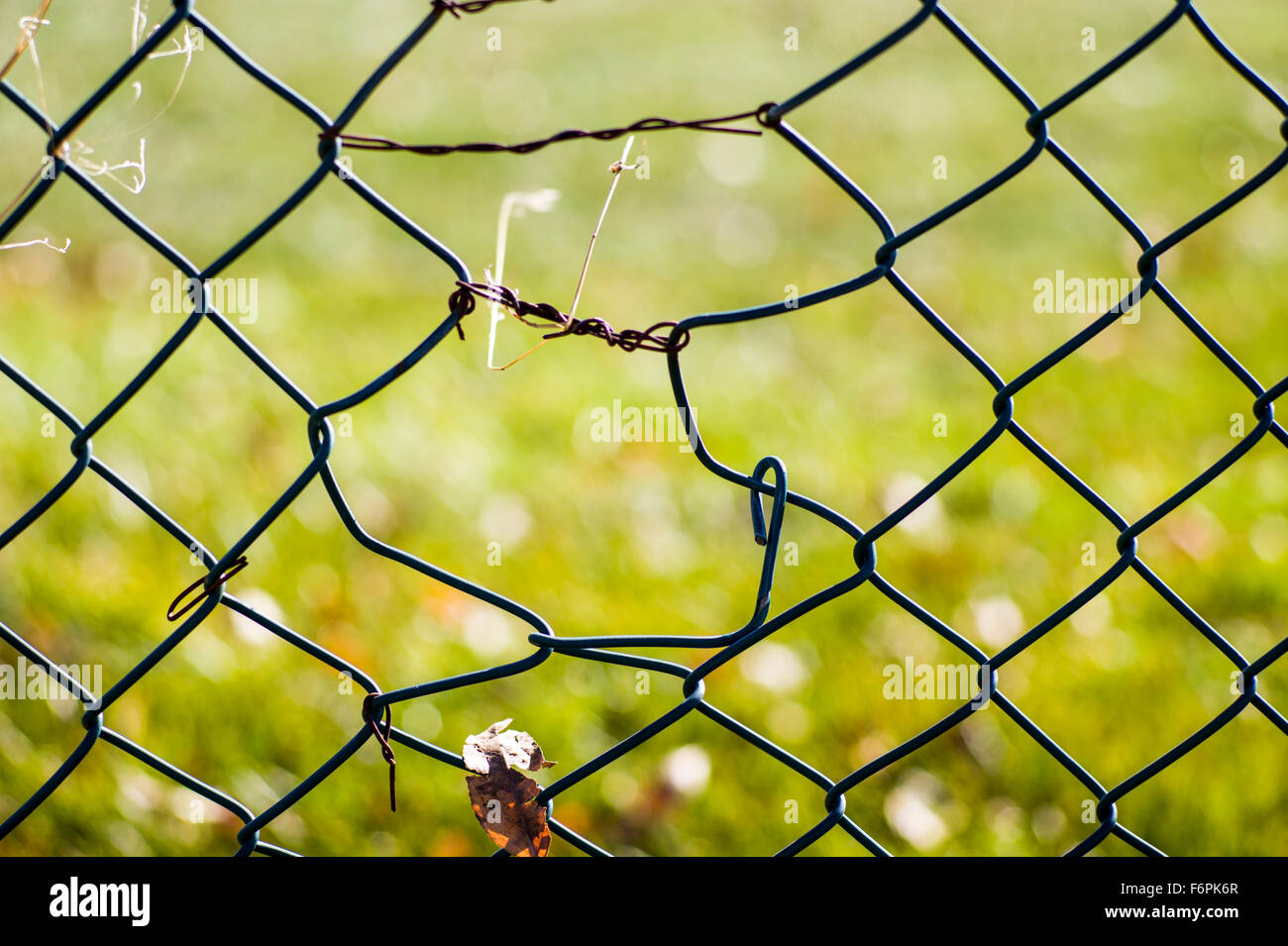 Torn hole in a wire mesh, hurricane, or cyclone steel fence Stock Photo