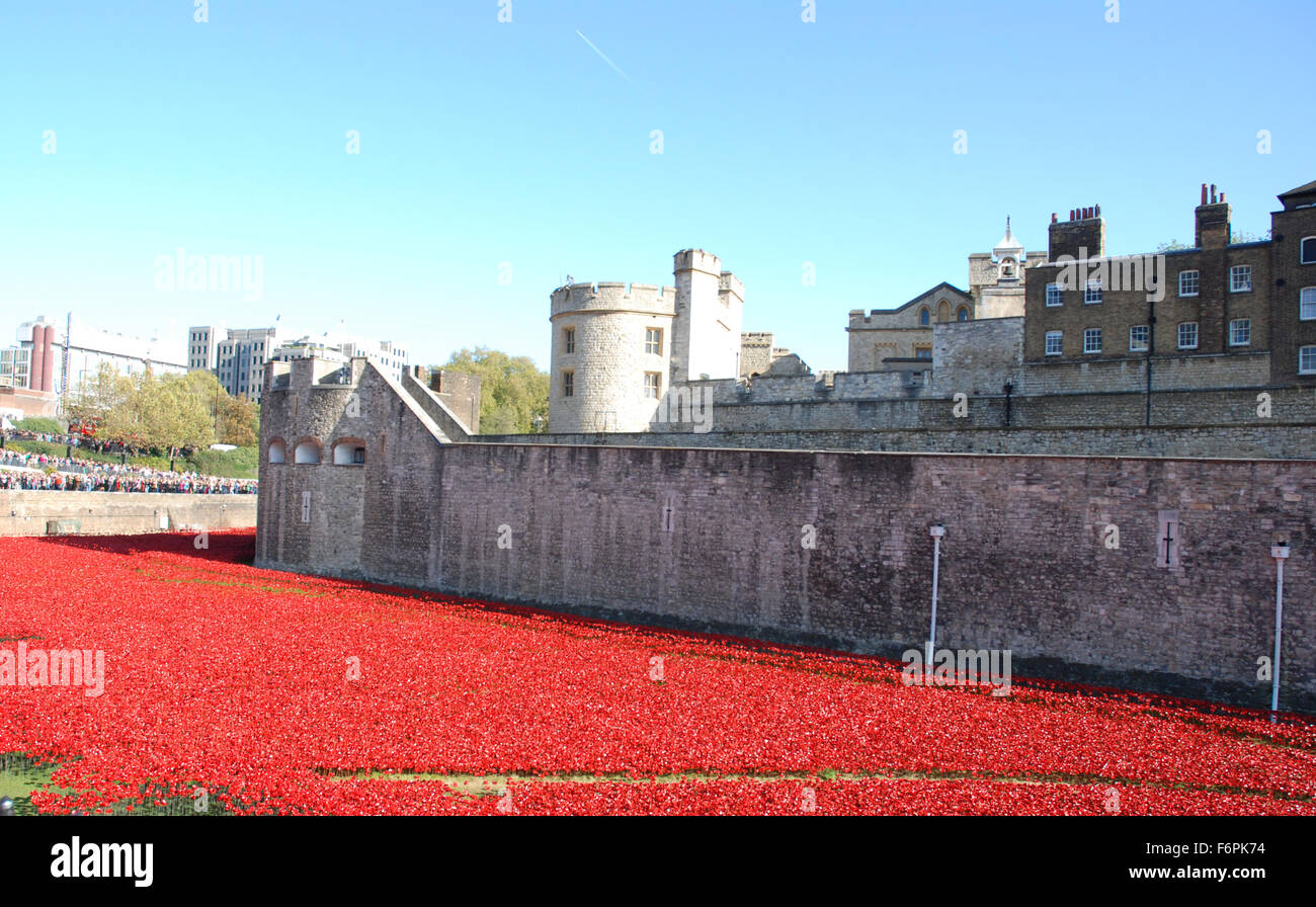 Poppies at The Tower of London Centenary of World War I Stock Photo