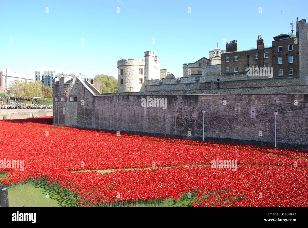 Poppies at The Tower of London, World War I Centenary Stock Photo