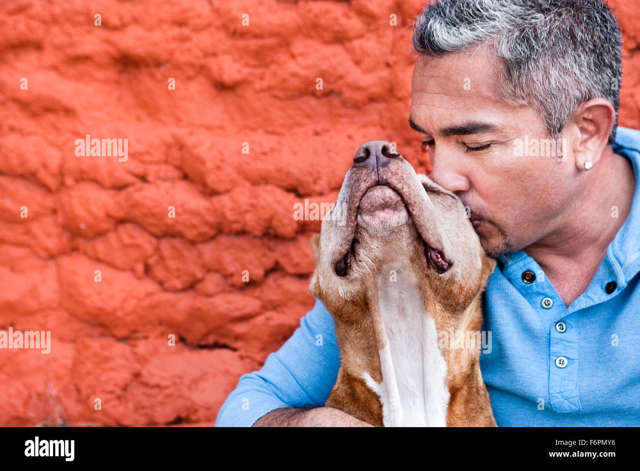 Dog Whisperer Ceasr Millan at ranch shows love and affection kissing pitbull dog Daddy in front of painted red stone wall Stock Photo