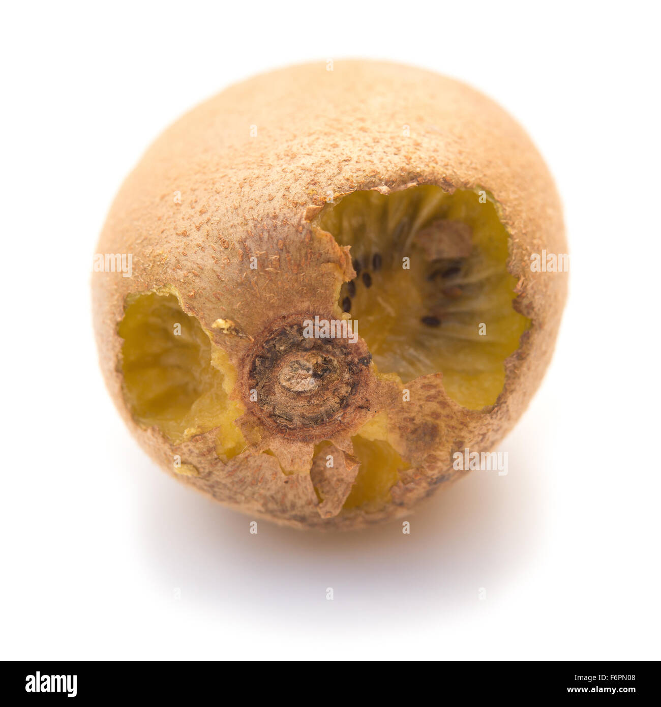 fresh kiwi eaten by insect on white Stock Photo