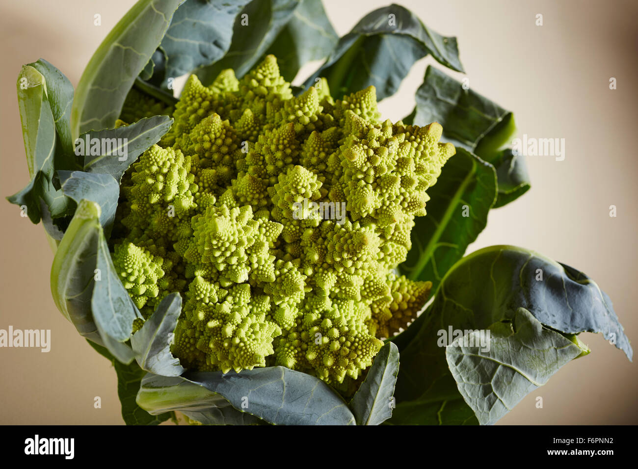Romanesco Broccoli Stock Photo