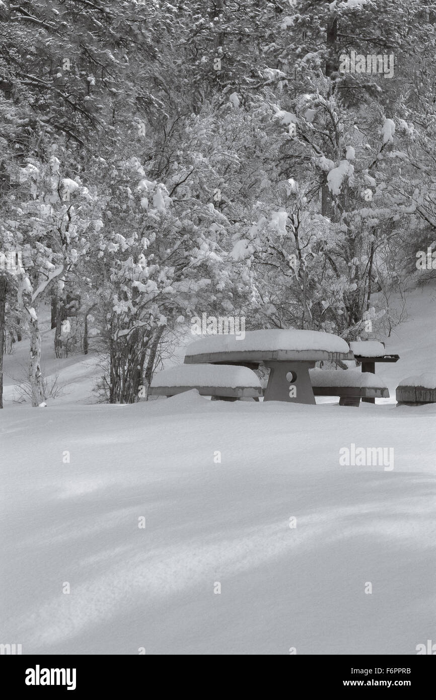 view of picnic table and benches in the park covered with snow Stock Photo