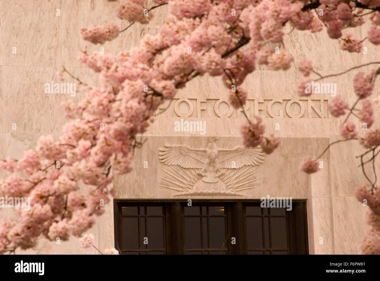 Cherry tree bloom with Oregon Capital, Oregon State Capitol grounds