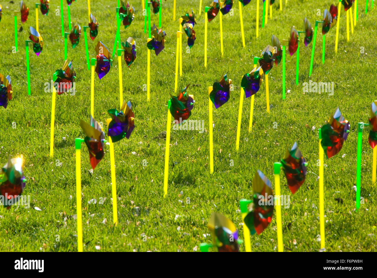 Pinwheel field, Oregon State Capitol grounds, Salem, Oregon Stock Photo