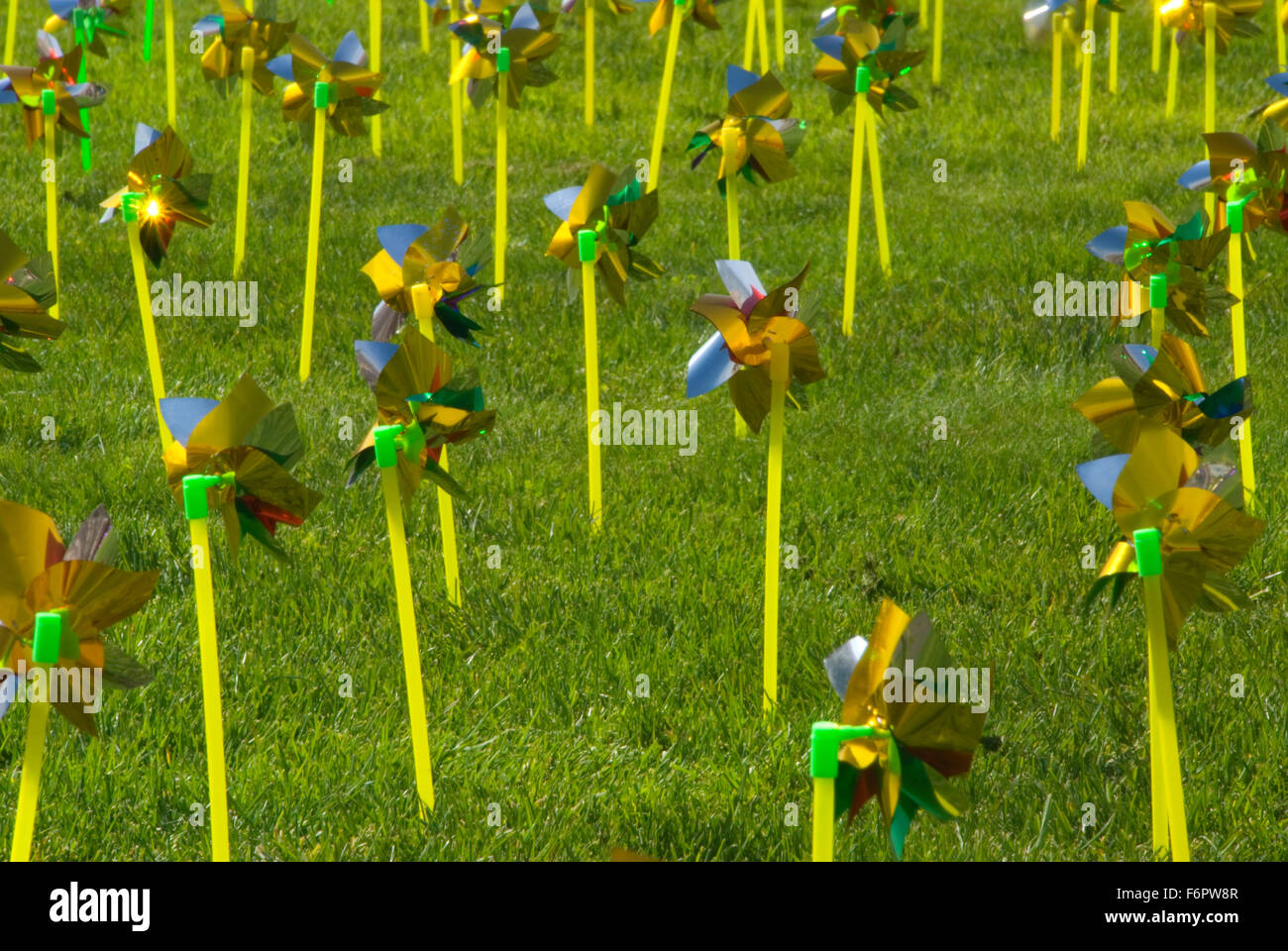 Pinwheel field, Oregon State Capitol grounds, Salem, Oregon Stock Photo