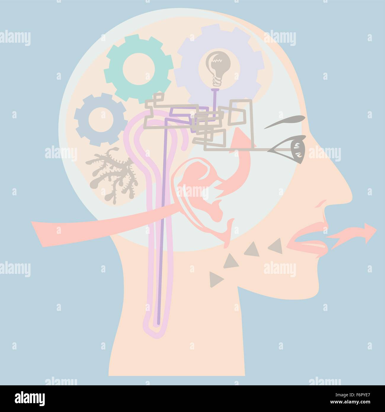 Human head showing many major human senses such as sight, smell, taste and hearing in vector Stock Vector
