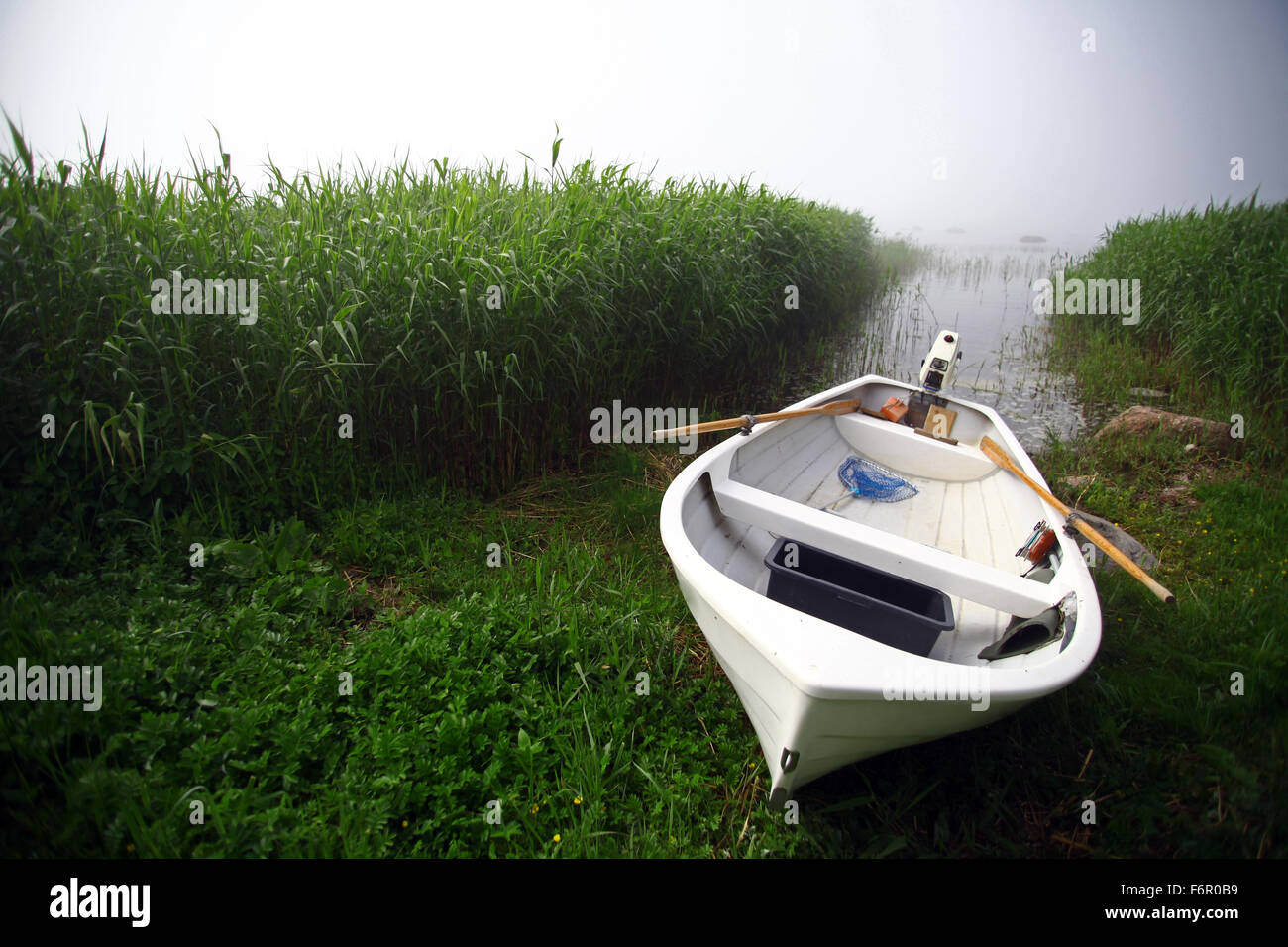 Color image of a white boat on a foggy day. Stock Photo