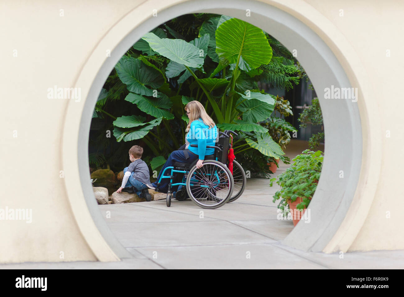Paraplegic mother and son admiring plants Stock Photo