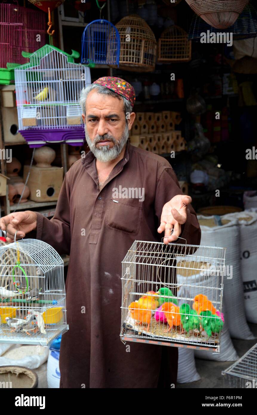 Pakistani man sells colored dyed pet birds in cages at Empress Market