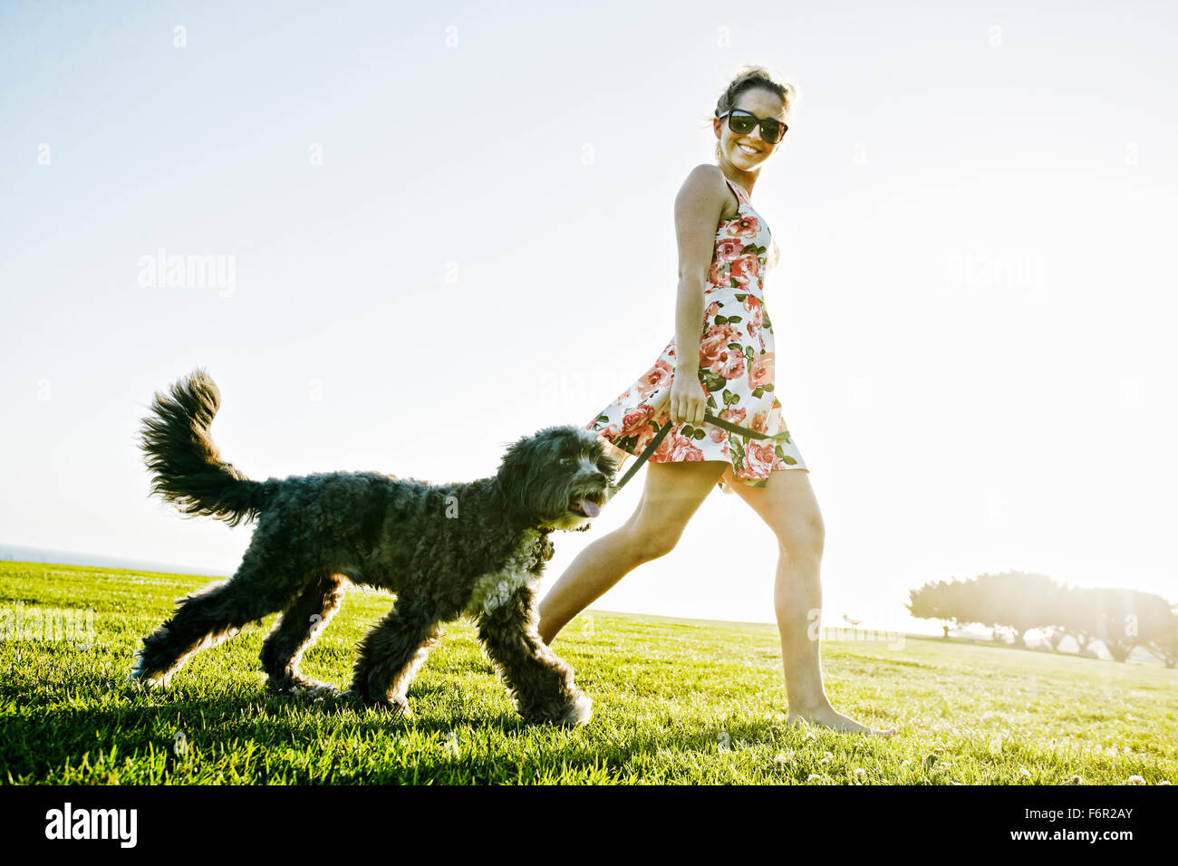 Caucasian woman walking dog in field Stock Photo