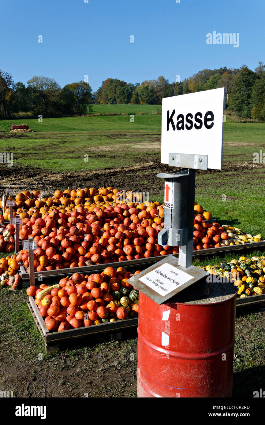 Pumpkin stand, Chiemgau, Upper Bavaria, Germany, Europe. Stock Photo