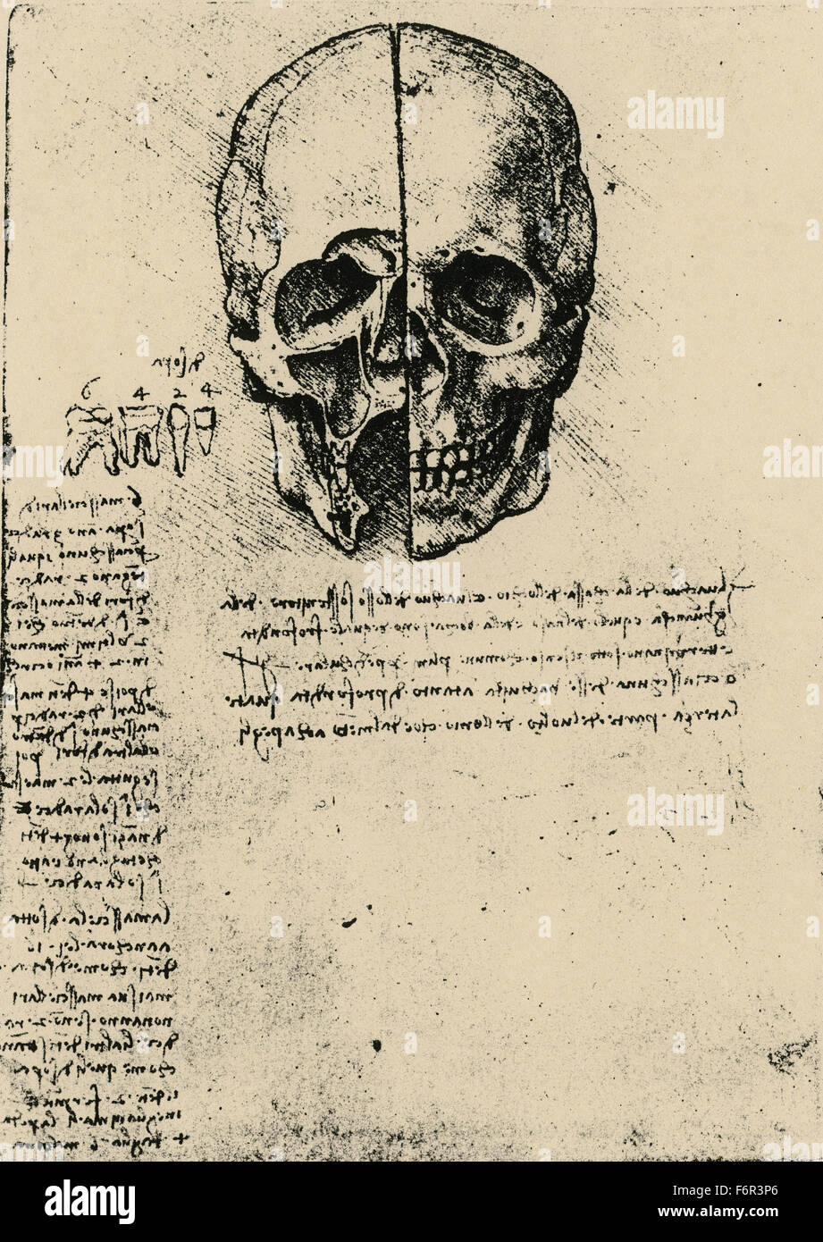 Leonardo da Vinci - Drawing of a skull Stock Photo